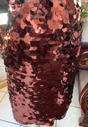 Beautiful Rust Sequins skirt